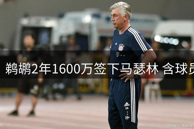 鹈鹕2年1600万签下马瑟林 含球员选项条款